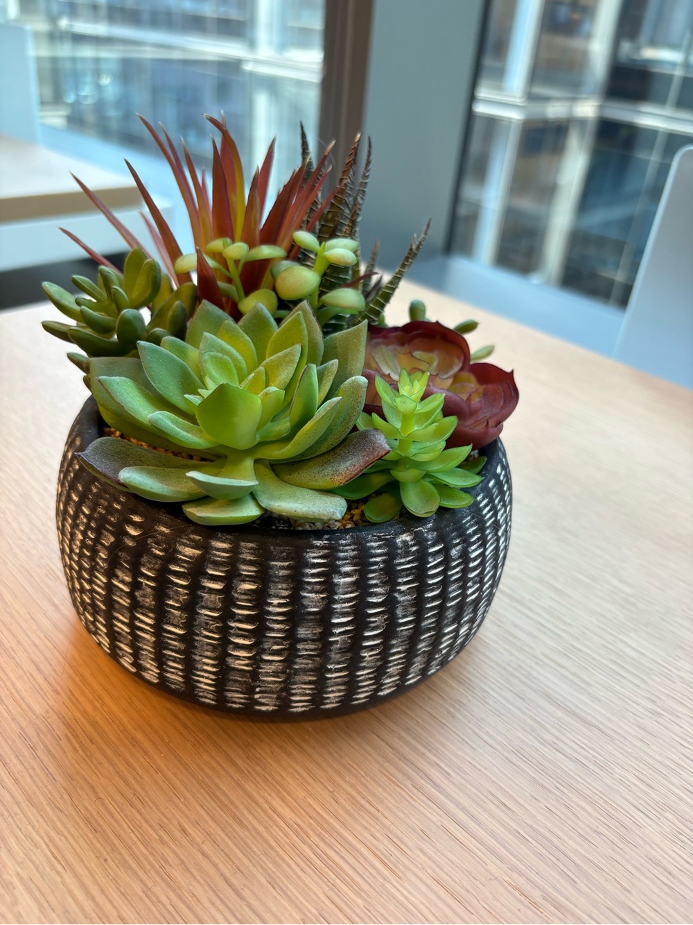 Threshold Green and Burgundy Faux Succulent Arrangement in Textured Black Pot